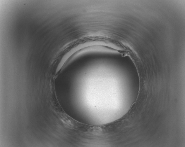 X0000069360968200605261954