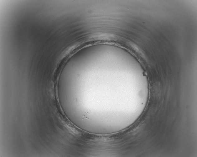 X0000069360970200605261954