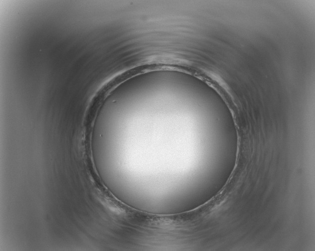 X0000069360971200605261954