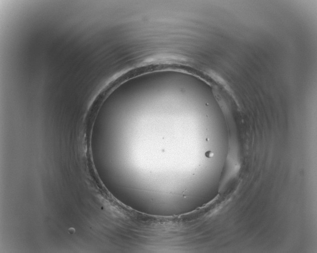 X0000069360973200605261954