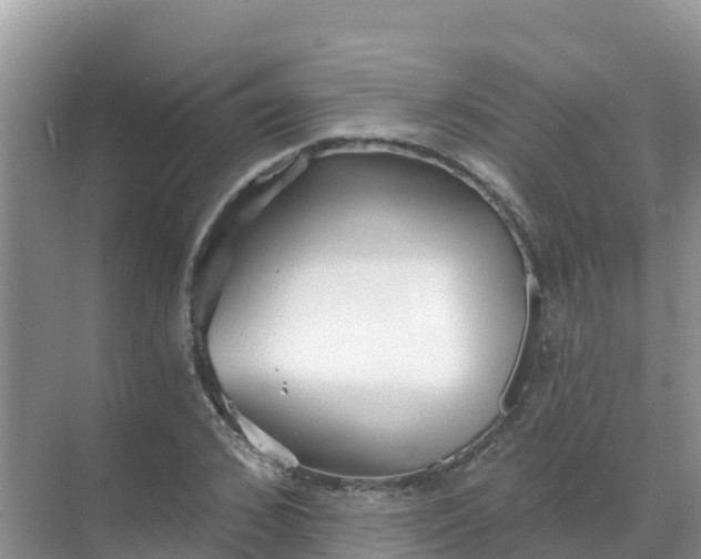 X0000069360976200605261954