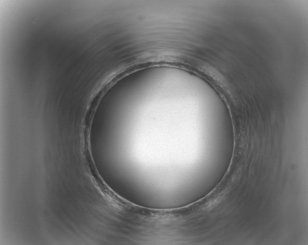 X0000069360978200605261954