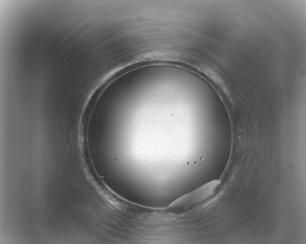 X0000069360981200605261954