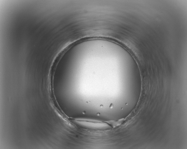 X0000069360982200605261954