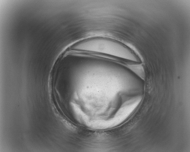 X0000069360983200605261954