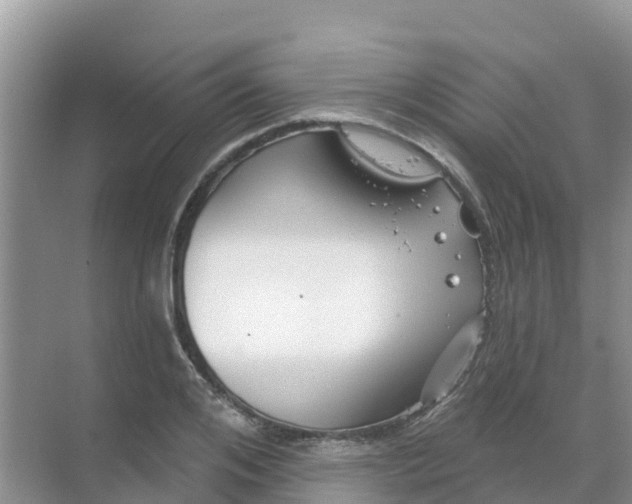 X0000069360984200605261954