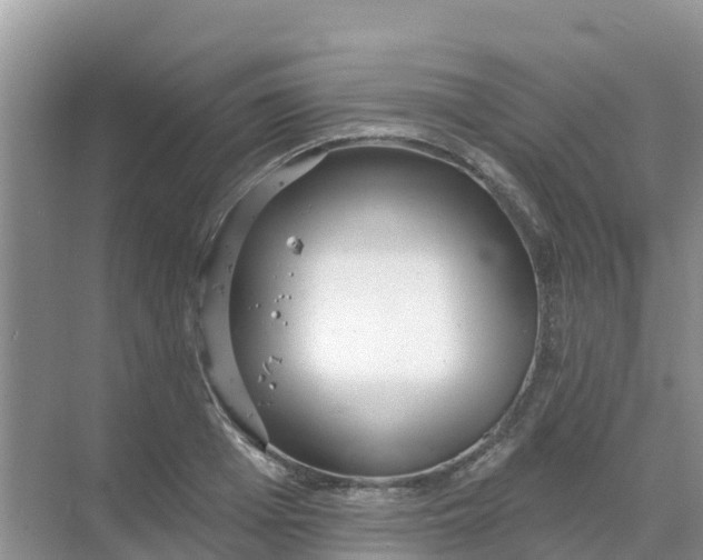 X0000069360985200605261954