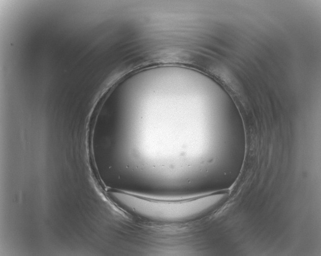 X0000069360986200605261954