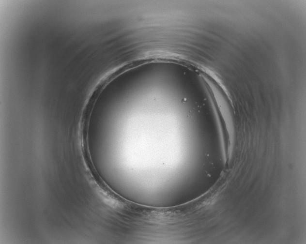 X0000069360987200605261954