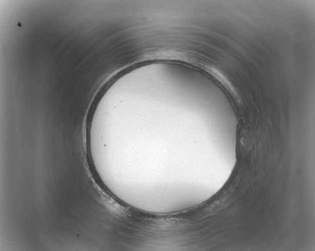 X0000069360988200605261954