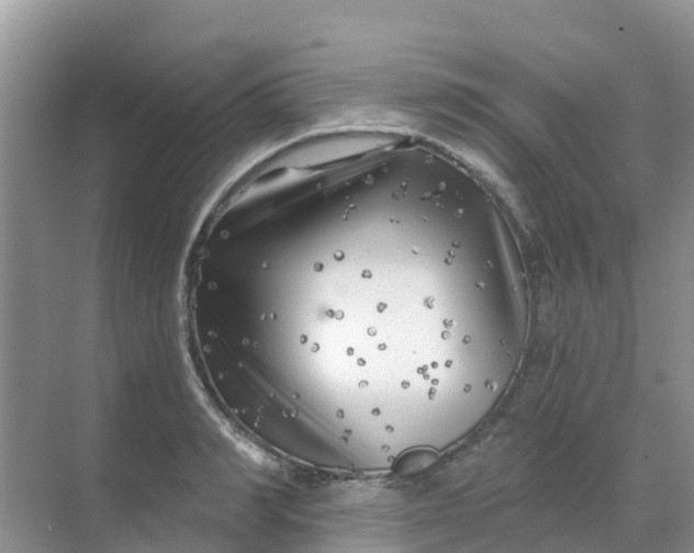 X0000069360990200605261954