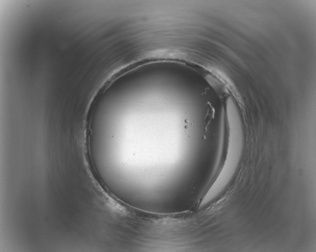 X0000069360992200605261954