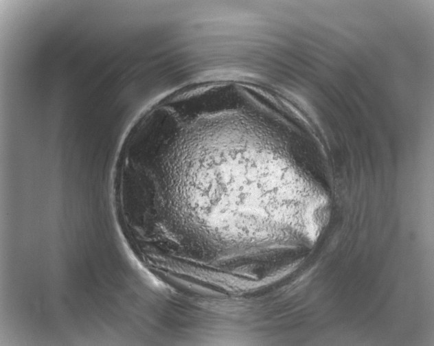 X0000069360995200605261954