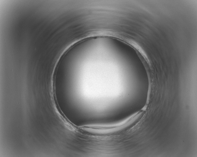 X0000069360996200605261954