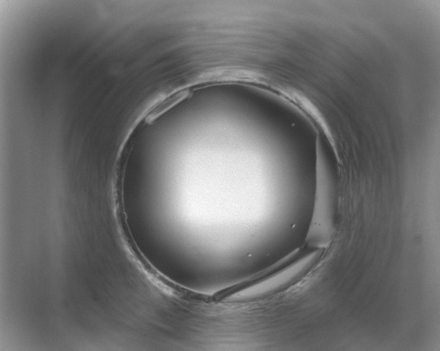 X0000069360997200605261954