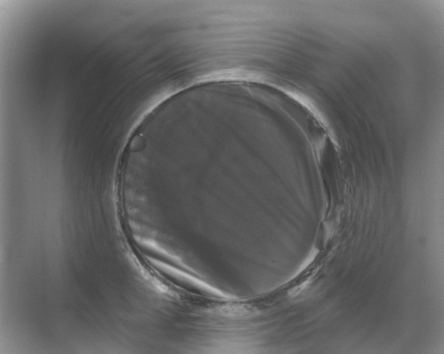 X0000069360998200605261954