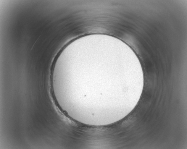 X0000069361000200605261954