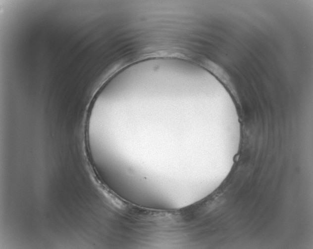 X0000069361002200605261954