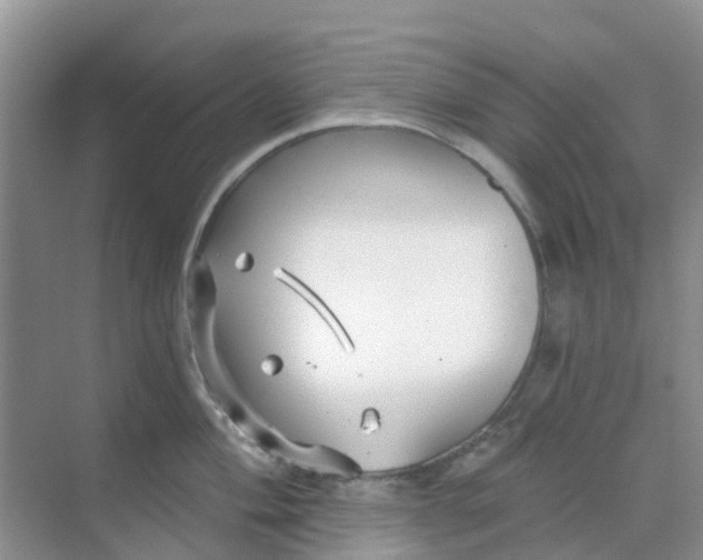 X0000069361004200605261954