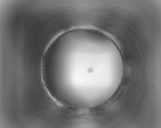 X0000069361006200605261954