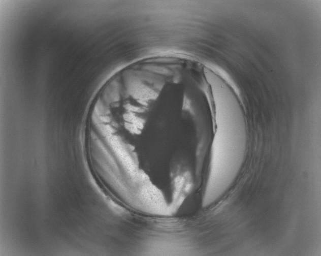 X0000069361007200605261954