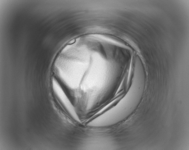 X0000069361008200605261954