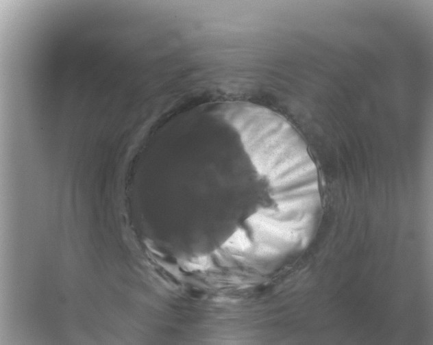 X0000069361009200605261953