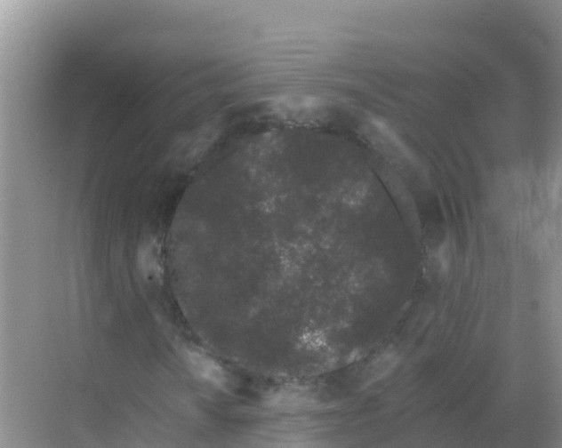 X0000069361010200605261953