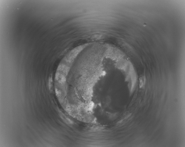 X0000069361011200605261953