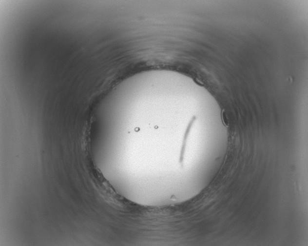 X0000069361012200605261953