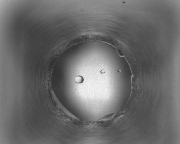 X0000069361014200605261953