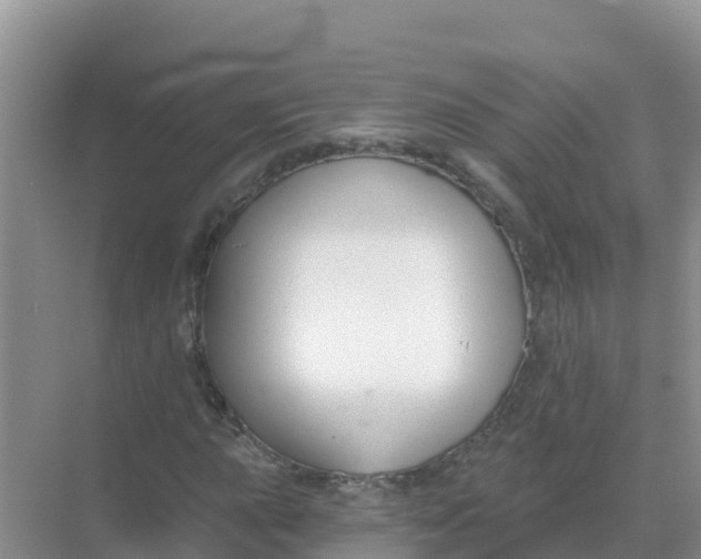 X0000069361015200605261953