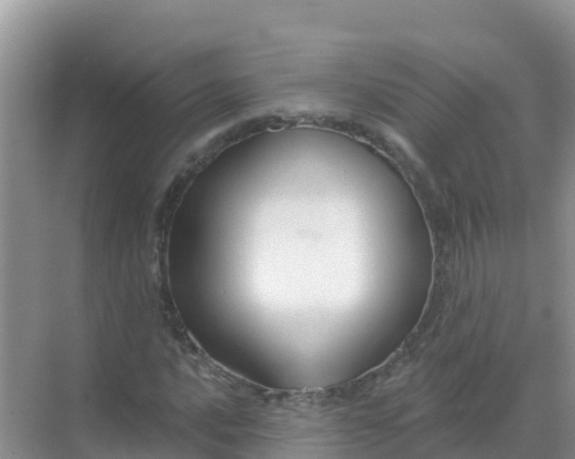 X0000069361016200605261953