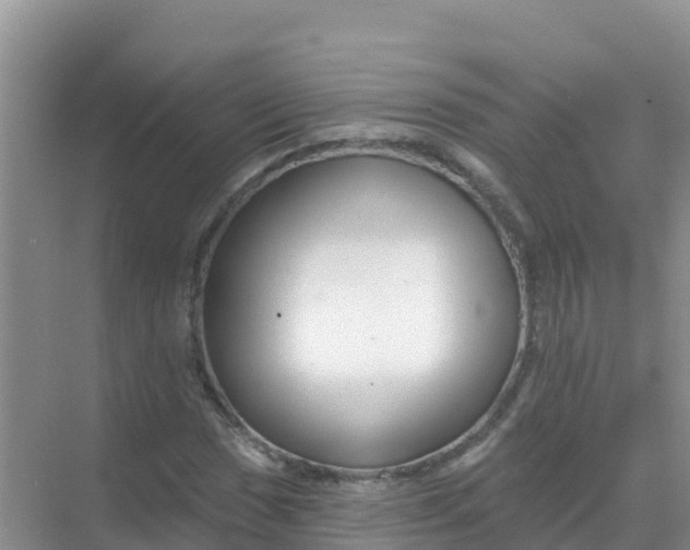 X0000069361017200605261953