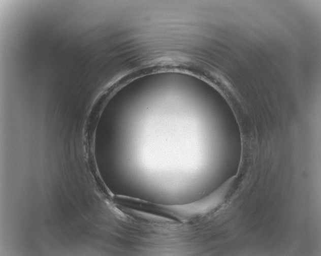 X0000069361018200605261953