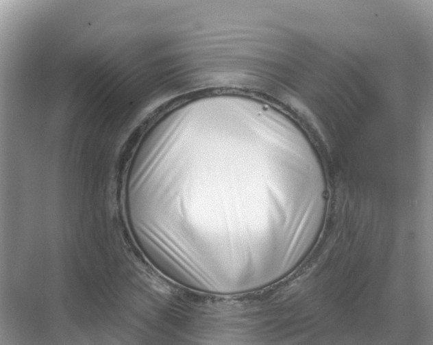 X0000069361019200605261953