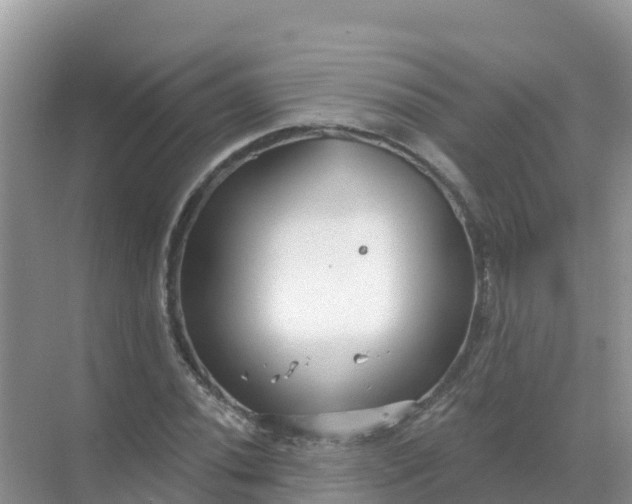 X0000069361020200605261953