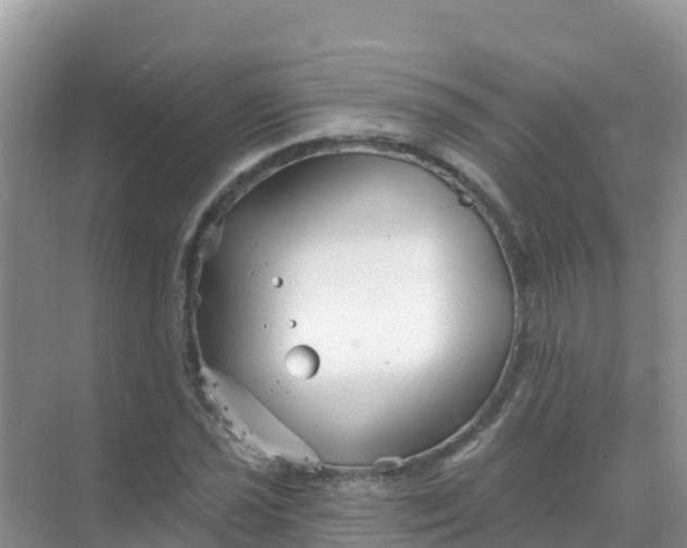 X0000069361021200605261953