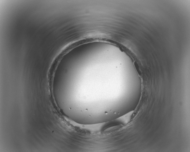 X0000069361022200605261953