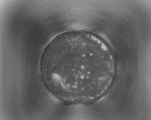 X0000069361023200605261953