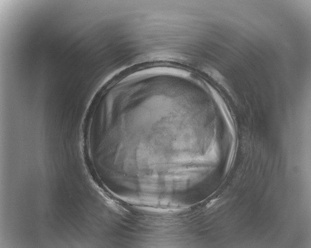 X0000069361024200605261953