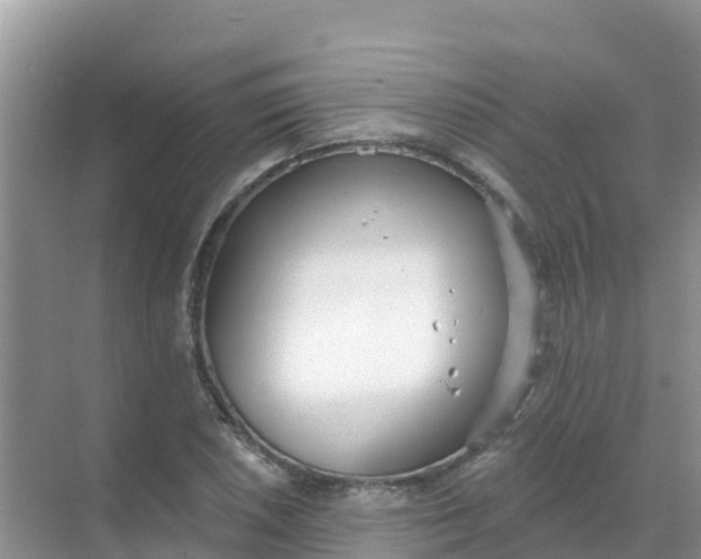 X0000069361026200605261953