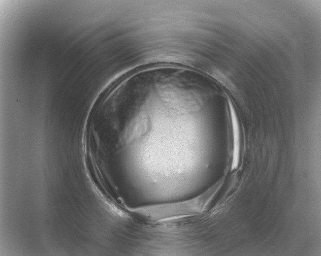 X0000069361028200605261953