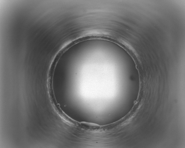 X0000069361029200605261953