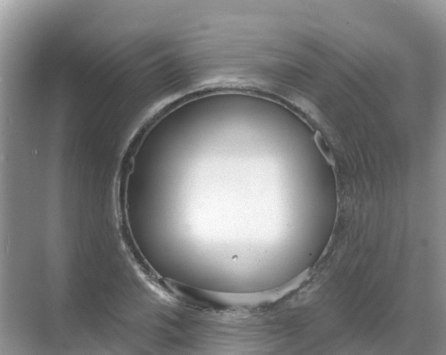 X0000069361030200605261953