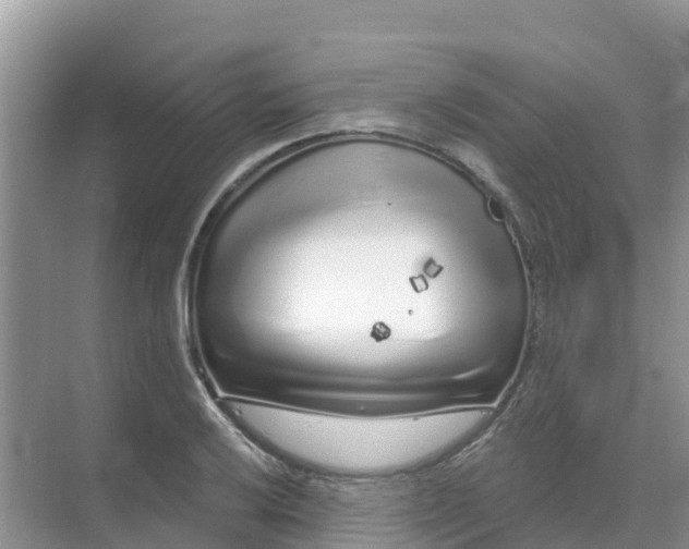 X0000069361032200605261953