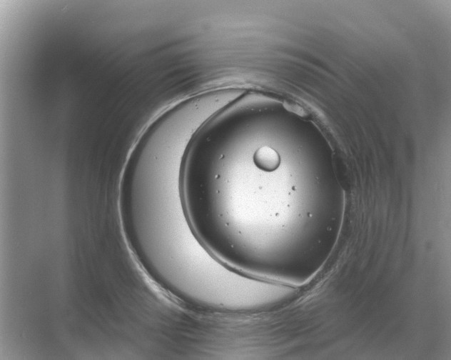 X0000069361034200605261953