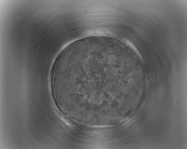 X0000069361035200605261953