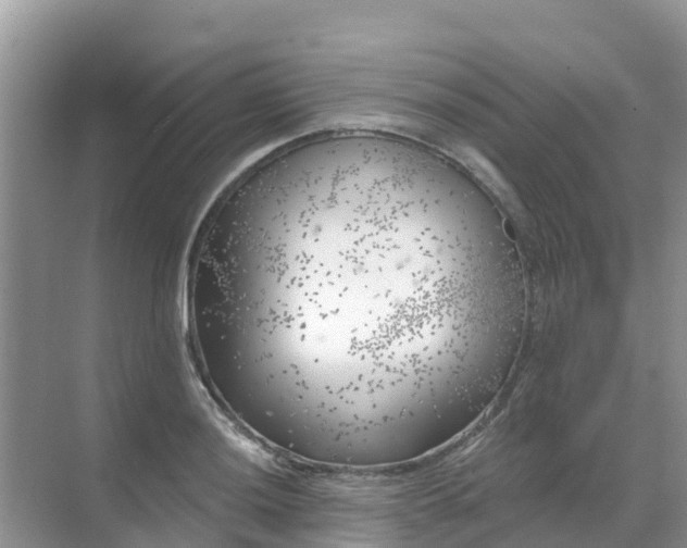 X0000069361036200605261953