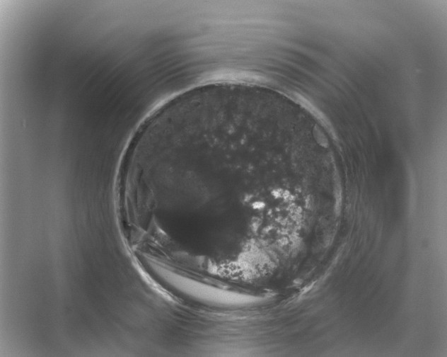 X0000069361037200605261953